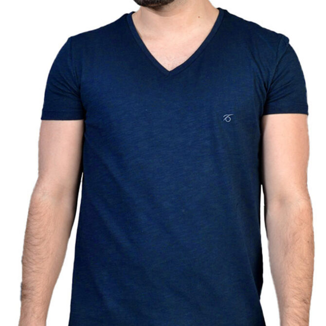 ΑΝΔΡΙΚΟ ΒΑΜΒΑΚΕΡΟ T-SHIRT PACO BSC V NECK PRINT ΜΠΛΕ 2431821