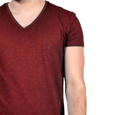 ΑΝΔΡΙΚΟ ΒΑΜΒΑΚΕΡΟ T-SHIRT PACO BSC V NECK PRINT ΜΠΟΡΝΤΟ 2431821