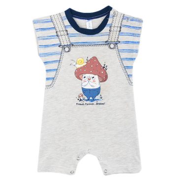 BEBE ΑΓΟΡΙΣΤΙΚΟ ΒΑΜΒΑΚΕΡΟ KONTOMANIKΟ ΦΟΡΜΑΚΙ DREAMS FRIENDS FOREVER ΓΚΡΙ 2422211